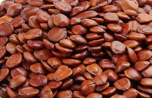 مسحوق مستخلص عشبي من أوراق نخيل السمن (زيزيفي سبينوسا) غني بالسابونين، معبأ في عبوات زجاجية/براميل - Product Image 4