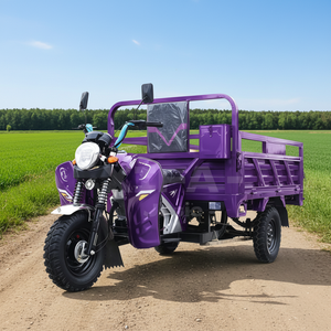 Triciclo de Pasajeros de Gasolina Cerrado de 250cc, Vehículo de 3 Ruedas con Cabina <span class=keywords><strong>para</strong></span> Uso en Todo Clima - Product Image 1