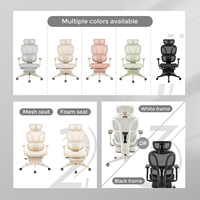 Meubles de bureau modernes et professionnels, chaises de direction ergonomiques pivotantes avec couleur personnalisée