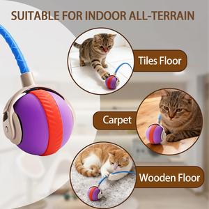 Modern Minimalist Automatic <b>Interactive</b> ABS Silicone <b>Cat</b> and Dog Play Mode PET <b>TOYS</b> USB Charger Rolling Ball for <b>Cats</b> Play Ball - Product Image 5