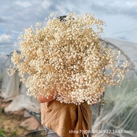 Bunga Baby's-Breath Putih Gading Kustom Grosir Bunga Awet Buket Bunga Kering Besar Diskon Besar Langsung dari Pabrik Yunnan