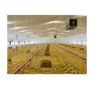 Professional chicken farm turkiye project steel structure construction shed chicken farm house for sale