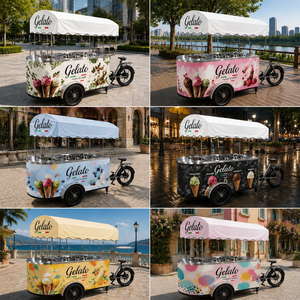 Carrito de Gelato Móvil Usado, Estilo Antiguo, Futurista, Alienígena, Espacial, Galáctico, Estrellado, Soleado, Lluvioso, Nevado, Ventoso, Tropical, Ártico, Desértico, Selvático - Product Image 4