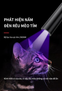 Mini torcia portatile <span class=keywords><strong>UV</strong></span> 365nm torcia portatile ricaricabile a LED per l'identificazione anticontraffazione delle macchie di animali domestici - Product Image 2