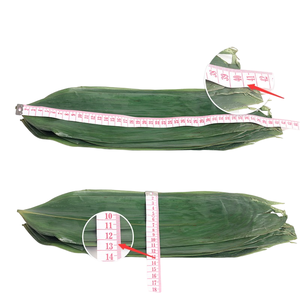 การตกแต่งอาหารด้วย<span class=keywords><strong>ใบไม้</strong></span>ไผ่แบบออร์แกนิก100ใบไผ่สำหรับซูชิแบบสดๆ - Product Image 1