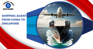 Servicios de logística puerta a puerta, el agente de carga más barato de China a Malasia, envío Ddp a Singapur, Indonesia - Product Image 3