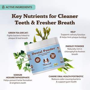 Polvo Dental para Perros, Refresca el <span class=keywords><strong>Aliento</strong></span>, Ayuda a Reducir la Placa y el Sarro, Natural, Sin Necesidad <span class=keywords><strong>de</strong></span> Cepillado, Suplemento Postbiótico para la Salud Bucal Canina - Product Image 3