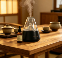 Diffuseur d'huiles essentielles en verre rafraîchissant avec parfum frais, atomiseur ultrasonique sans alcool, cadeau haut de gamme pour la maison