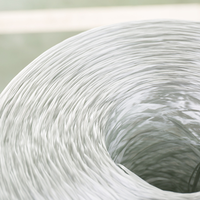 Hilo de Fibra de Vidrio C-Glass 2400Tex en Rollo, con Procesamiento de Doblado para Devanado de Filamentos de Fibra de Vidrio ECR