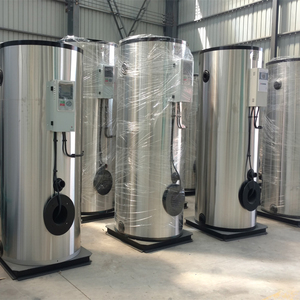 Lhs piccolo verticale 500 700 1000 1500 Kg Gas naturale gpl gasolio caldaia a vapore a gasolio - Product Image 2