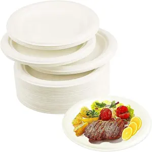 Yuvarlak tabak Compostable tek kullanımlık doğal şeker kamışı Fiber 10 "Bagasse gıda plakaları