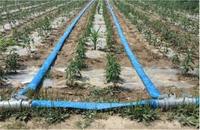 Tuyau plat en PVC à prix d'usine, 3/4/6/8/12 pouces, tuyau de refoulement d'eau en PVC pour l'irrigation agricole