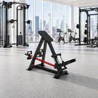 Appareil de musculation professionnel de qualité commerciale similaire à l'Icon T Bar Row Machine pour centre de fitness