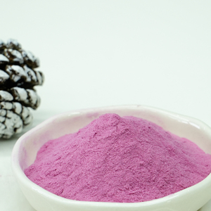Materia Prima de Arándanos Frescos Enteros, Polvo de Arándanos Instantáneo de Grano Fino Secado por Aspersión - Product Image 2