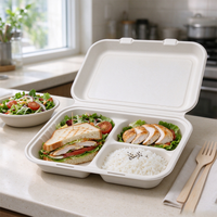 Boîte à lunch biodégradable en bagasse, conteneur à clapet à 2 compartiments avec couvercle, emballage alimentaire jetable pour restaurant à emporter