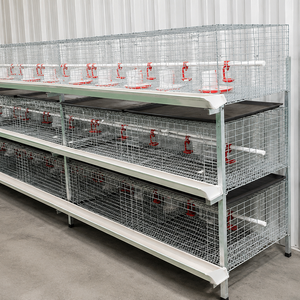 Sistema de Jaulas Automáticas para <span class=keywords><strong>Gallinas</strong></span> Ponedoras con Estructura en H, Acero Galvanizado en Caliente, 3-4 Niveles, Alimentación, Bebederos y Eliminación de Estiércol 160-256 - Product Image 2