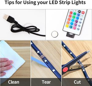 Bande LED RVB colorée étanche IP68 de 5 à 100 mètres, 220V/110V, vente en gros de bandes lumineuses - Product Image 4