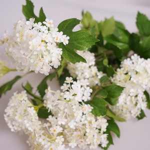 Fleurs artificielles en gros à 5 têtes, type voile de mariée, Spirea, boule de neige, petites hortensias blancs pour décorations de mariage - Product Image 4