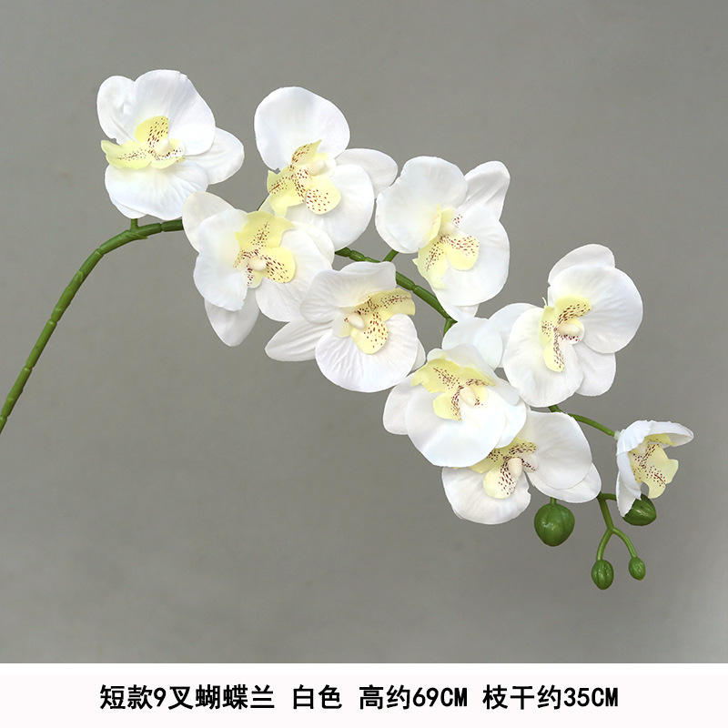 ผ้าไหมสั้นสีขาว9หัว