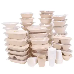 Échantillon gratuit bol en papier d'emballage dégradable jetable boîte alimentaire jetable assiette de vaisselle en pâte de bambou compostable