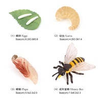 Figuras de Animales de PVC Sólido al por Mayor, Figuras del Ciclo de Vida de Mariposa, Rana y Araña