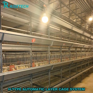 Sistema <span class=keywords><strong>de</strong></span> Jaulas Automáticas Tipo H para Gallinas Ponedoras, Maquinaria para Producción <span class=keywords><strong>de</strong></span> <span class=keywords><strong>Huevos</strong></span>, Acero Galvanizado en Caliente, Equipo para Granjas Avícolas - Product Image 3