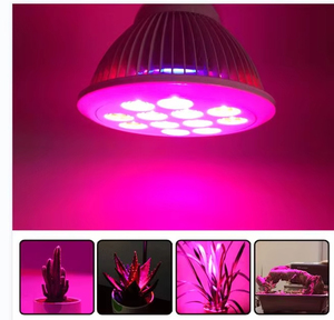 3535 3w צבע אדום sms הוביל שבב 620nm 630nm טיפול אדום הוביל דיודה לאור צמח - Product Image 5