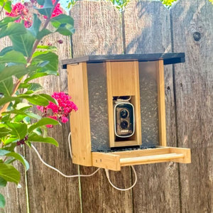 במבוק עץ מגביר ציפור חכם ביקורים מזין עם מצלמה סולארית מונעת אי זיהוי 2.5k hd אוטומטי - Product Image 5