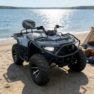 Buggy Todoterreno 4x4 de Alta Calidad en Oferta, Buggy Todoterreno de 250cc con Tracción en las 4 Ruedas para Escalar Dunas de Arena - Product Image 6