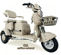 Tricycle électrique 48V/60V à batterie au plomb, 600W, frein à tambour, siège en mousse, panier avant, pneus petits, cadre en acier carbone, 3 vitesses, pour la ville