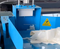 Machine de recyclage de films PP/PE à haute efficacité, ligne de granulation à petite échelle complète pour la production de granulés plastiques