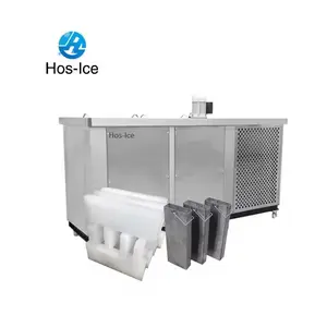 Máquina trituradora de hielo de bloque industrial de 1 tonelada por día, máquina para hacer hielo, precio de bloque de hielo en Turquía