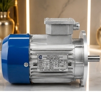 Motor Industri Unicorn 0.523F 0.6kW Motor Induksi Tiga Fasa 415V 50Hz Pemasangan Kaki 71mm Rangka Efisiensi IE2 Bodi Aluminium