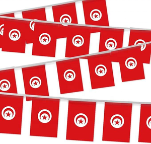 Productos de la Serie Bandera de Túnez: Gafas con Bandera, Bandera para Agitar con la Mano, Bandera para Coche, Llavero con Bandera de Túnez, Broche, Gorra, Camiseta para las Elecciones - Product Image 4