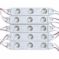 Module de moulage par injection pour caractères lumineux publicitaires LED blancs étanches IP66, DC12V/24V 111*20mm 3W 9000K-10000K