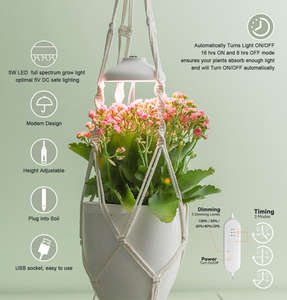 पौधे उगने वाले बल्ब ने ए 19/60 बल्ब बल्ब का नेतृत्व किया, इनडोर पौधा प्रकाश बल्ब e26/e27 बेस, इनडोर पौधे प्रकाश बढ़ता है - Product Image 2