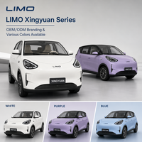 Modèle 2026 SUV, Nouveau véhicule utilitaire, Mini voiture électrique EV, Sièges en cuir, Véhicules électriques à énergie nouvelle, Voitures fabriquées en Chine