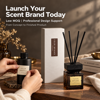 Diffuseurs de parfum naturels de luxe pour la maison, 500 ml, écologiques, sans alcool, sans BPA, longue durée, fabriqués à la main, bouteilles en verre DIY