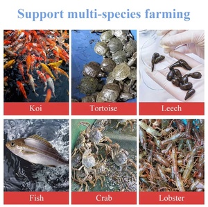 d'épissage extérieur de grande capacité réservoir de pisciculture respectueux de l'environnement résistant à la chaleur - Product Image 2