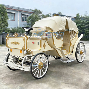 Calèche électrique royale européenne de luxe haut de gamme personnalisable en plusieurs couleurs avec pare-soleil pour la visite touristique - Product Image 4