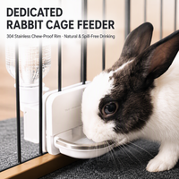 Fontaine à eau pour animaux de compagnie avec filtre durable facile à nettoyer, distributeur d'eau pour lapins et autres petits animaux