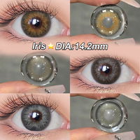 Livraison Gratuite Lentilles de Contact Magister – Vente en Gros de Lentilles de Contact Colorées Personnalisables – Lentilles Souples Naturelles Marron pour la Couleur des Yeux