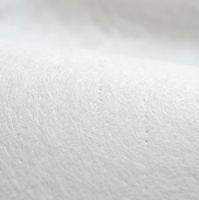 Tissu géotextile non tissé en PP industriel à haute résistance à la traction pour le renforcement routier et la séparation des couches sous-terrain