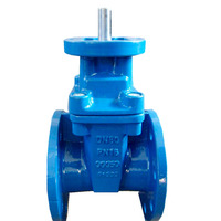 Katup Gerbang Flens Standar DIN/ANSI Awwa Ductile Iron Non Rising Stem untuk Industri