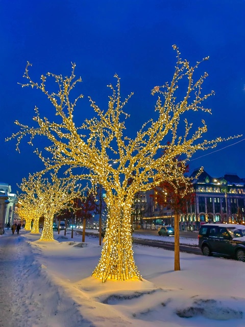 High Quality Large Ip65 Outdoor Christmas Tree Light Waterproof Led Fiber Optic Pattern Shaped Artificial Christmas Tree