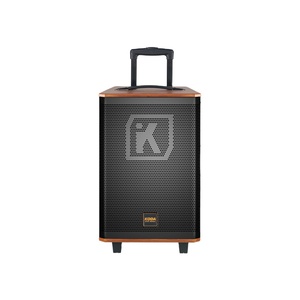 Công Suất Cao Chuyên Nghiệp Không Dây Xe Đẩy Loa Di Động Âm Thanh Máy Nghe Nhạc Cho Điện Thoại Di Động Karaoke Cho Bluetooth Cho Koda Nhà - Product Image 3