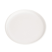 Plats et assiettes jetables prêts à expédier en fibre végétale 6/8/9/10 pouces 100% assiette de bagasse de canne à sucre biodégradable compostable
