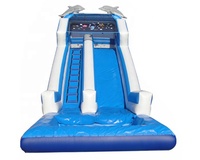 Toboggan gonflable commercial avec piscine pour les locations à vendre