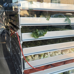 Lyophilisateur industriel compact, capacité de 60 à 70 kg par lot, 9 étagères, 18 plateaux, chambre de séchage et chambre de récupération d'eau isolées - Product Image 3