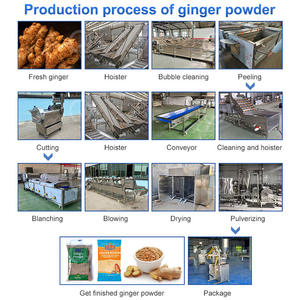 Línea de proceso de polvo de jengibre OCEAN, equipo automático de polvo de jengibre, máquina trituradora de polvo de jengibre - Product Image 2